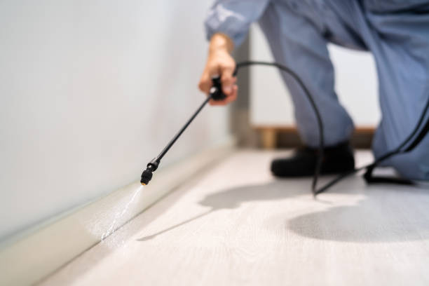 Best Pest Prevention Services  in Harlingen, TX
