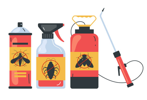 Best Affordable Pest Control Services  in Harlingen, TX
