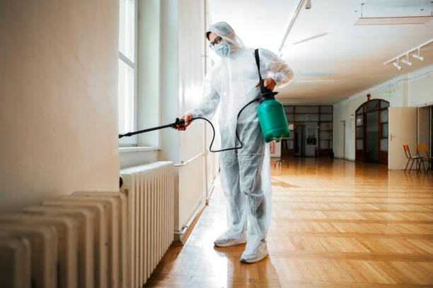 Best Flea Control Services  in Harlingen, TX