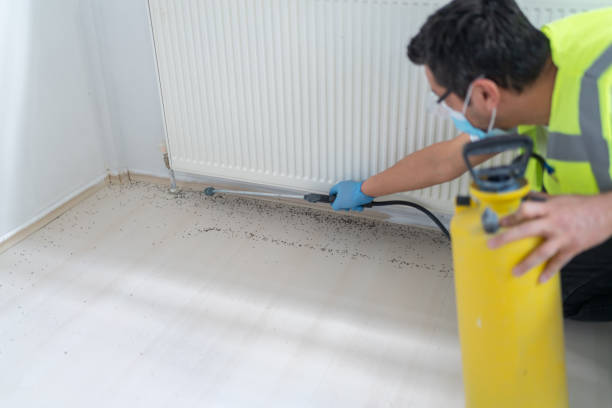Best Cockroach Control Services  in Harlingen, TX
